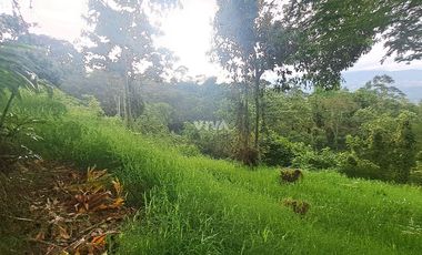 LOTE RURAL CONJUNTO OPORTUNIDAD
