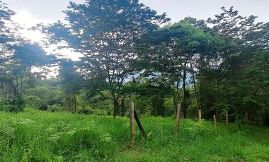 LOTE RURAL CONJUNTO OPORTUNIDAD