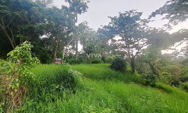 LOTE RURAL CONJUNTO OPORTUNIDAD