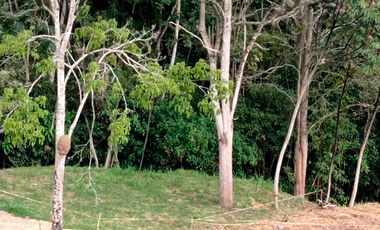 LOTE EN CONDOMINIO