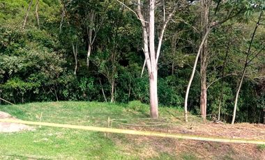 LOTE EN CONDOMINIO