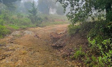 VENTA DE LINDO TERRENO EN CAPULA, MINERAL DEL CHICO