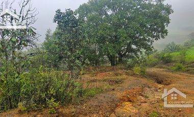 VENTA DE LINDO TERRENO EN CAPULA, MINERAL DEL CHICO