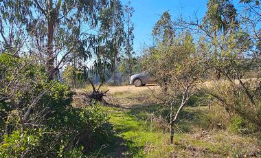 parcela en Navidad con vegetacion nativa!!!