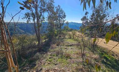 parcela en Navidad con vegetacion nativa!!!