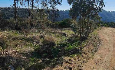 parcela en Navidad con vegetacion nativa!!!