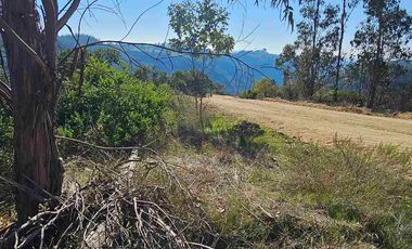 parcela en Navidad con vegetacion nativa!!!