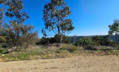 parcela en Navidad con vegetacion nativa!!!