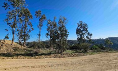 parcela en Navidad con vegetacion nativa!!!
