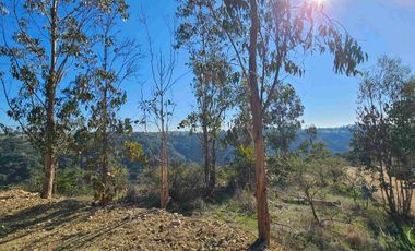 parcela en Navidad con vegetacion nativa!!!