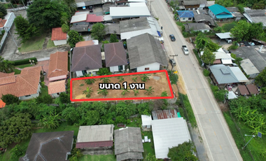Land for Sale 100 sq.wah in San Kamphaeng, Chiang Mai
