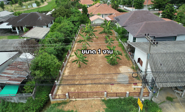 Land for Sale 100 sq.wah in San Kamphaeng, Chiang Mai