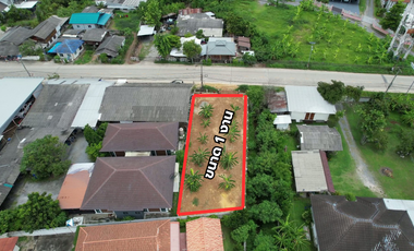 Land for Sale 100 sq.wah in San Kamphaeng, Chiang Mai