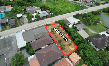 Land for Sale 100 sq.wah in San Kamphaeng, Chiang Mai