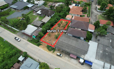 Land for Sale 100 sq.wah in San Kamphaeng, Chiang Mai