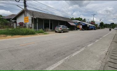 Land for Sale 100 sq.wah in San Kamphaeng, Chiang Mai