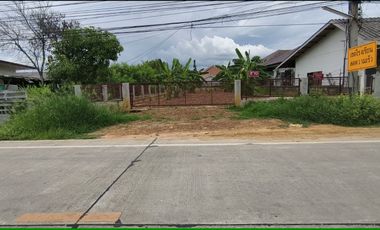 Land for Sale 100 sq.wah in San Kamphaeng, Chiang Mai