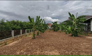 Land for Sale 100 sq.wah in San Kamphaeng, Chiang Mai