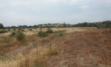 Dos Terrenos; 137 + 712 hectáreas En Carretera Sullana – Talara