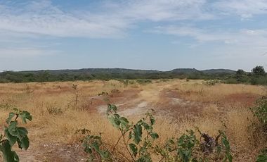 Dos Terrenos; 137 + 712 hectáreas En Carretera Sullana – Talara