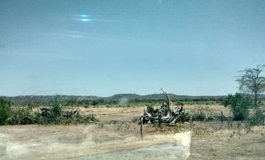 Dos Terrenos; 137 + 712 hectáreas En Carretera Sullana – Talara