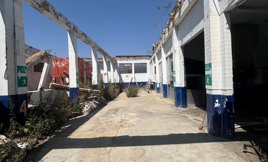 Ciudad de Oaxaca RENTO LOCAL COMERCIAL EN AV. PRINCIPAL