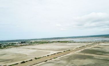 CAMARONERA EN VENTA, PALMAR