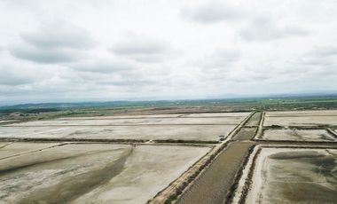 CAMARONERA EN VENTA, PALMAR