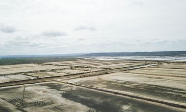 CAMARONERA EN VENTA, PALMAR