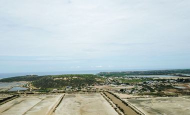 CAMARONERA EN VENTA, PALMAR