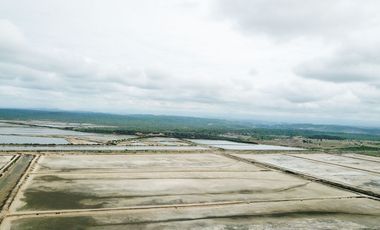 CAMARONERA EN VENTA, PALMAR