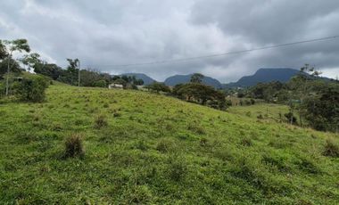 FINCA 13 FANEGADAS EN FUSAGASUGA