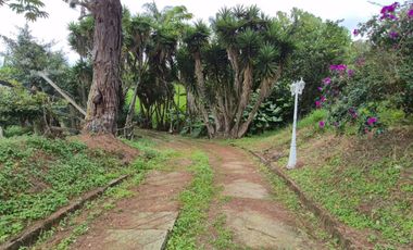 FINCA 13 FANEGADAS EN FUSAGASUGA