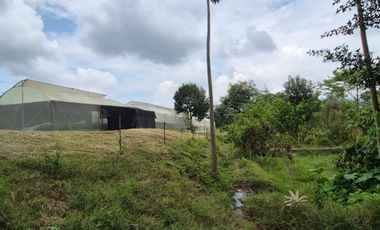 FINCA 13 FANEGADAS EN FUSAGASUGA