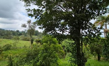 FINCA 13 FANEGADAS EN FUSAGASUGA