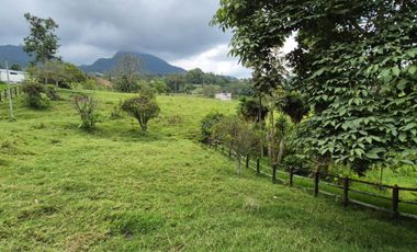 FINCA 13 FANEGADAS EN FUSAGASUGA
