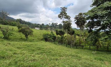 FINCA 13 FANEGADAS EN FUSAGASUGA