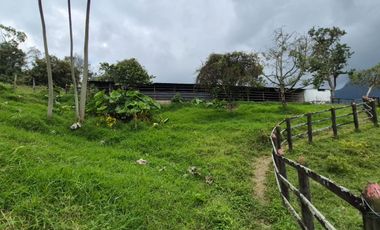 FINCA 13 FANEGADAS EN FUSAGASUGA