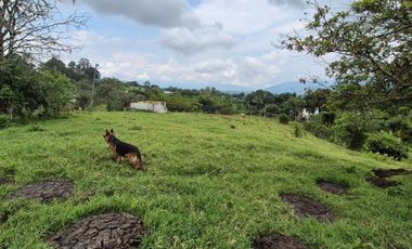 FINCA 13 FANEGADAS EN FUSAGASUGA