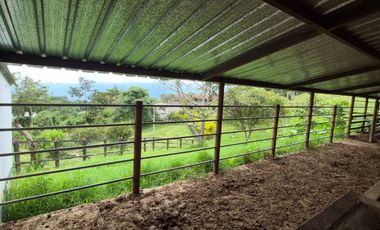 FINCA 13 FANEGADAS EN FUSAGASUGA