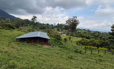 FINCA 13 FANEGADAS EN FUSAGASUGA