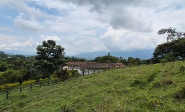FINCA 13 FANEGADAS EN FUSAGASUGA