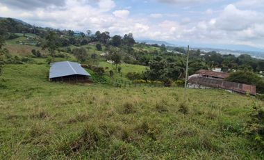 FINCA 13 FANEGADAS EN FUSAGASUGA