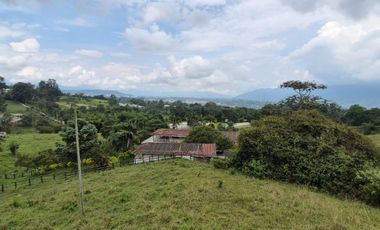 FINCA 13 FANEGADAS EN FUSAGASUGA