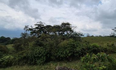 FINCA 13 FANEGADAS EN FUSAGASUGA