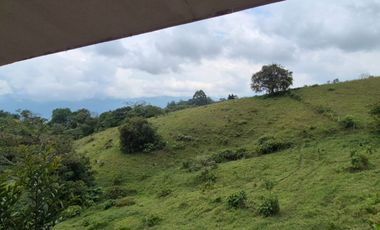 FINCA 13 FANEGADAS EN FUSAGASUGA