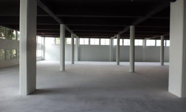 Excelente bodega u oficinas cerca de Polanco