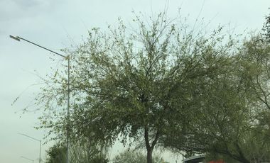 CASA EN VENTA FRACCIONAMIENTO TRIANA APODACA NUEVO LEON  PRIVADA CERCA DE ZONA CENTRO APODACA