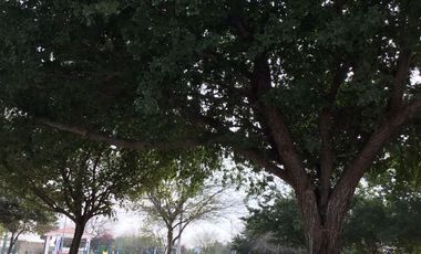 CASA EN VENTA FRACCIONAMIENTO TRIANA APODACA NUEVO LEON  PRIVADA CERCA DE ZONA CENTRO APODACA