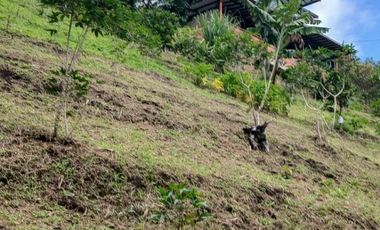 FINCA FAVORABLE EN GIRARDOTA ANTIOQUIA COLOMBIA.